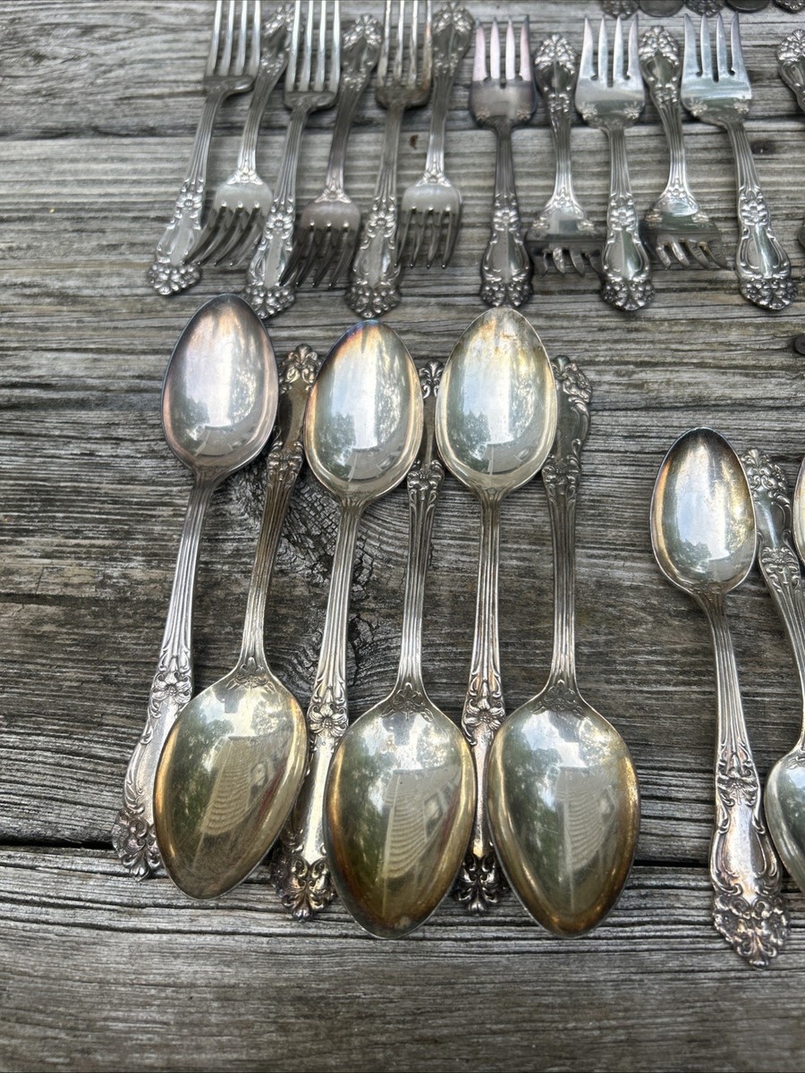 1901 Reed Barton Silverplate flatware Silverware Set Tiger Lily