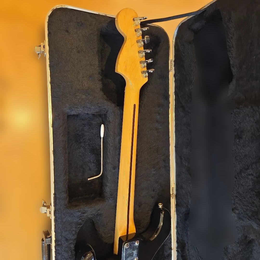 Navigator ESPARTO Strat hard case Safe Packing! | eBay