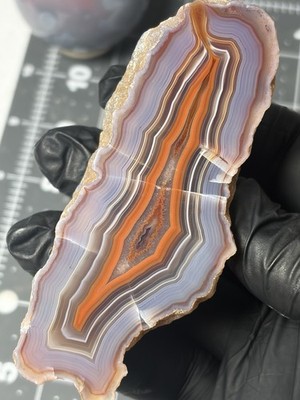 Beautiful Large Malawi Agate Face Polished Excellent Banding
