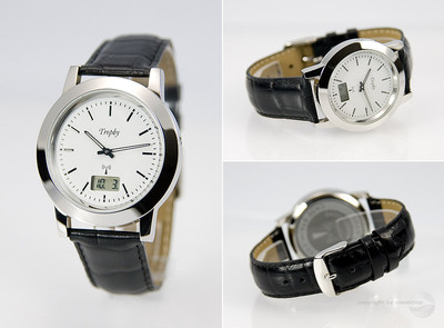 Radio Wristwatch with Stainless Steel Case Leather Strap Wristwatch Radio Watch TB-964.2912.31