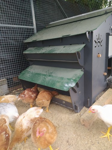 Hühnerstall MIT MANGER INTERN EXTERN Freilandfarm für 15 Hühner POLLY FARM EVO - Bild 9 von 10