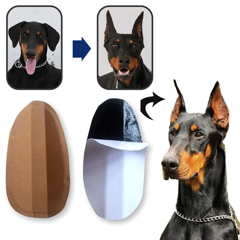 Adesivo XXL pastore tedesco cane auto cani sticker