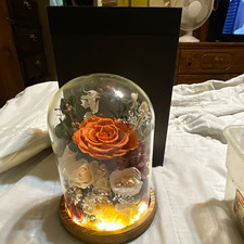 Artificial Rose Flower Arrangement Centerpiece in Glass Dome w/ LED, Wood Base