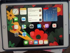 Apple iPad 8th Gen 10.2in 32GB Rose Gold Wifi A2270