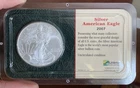 2007 American Eagle Walking Liberty 1 oz Uncirculated Silver Coin Toning