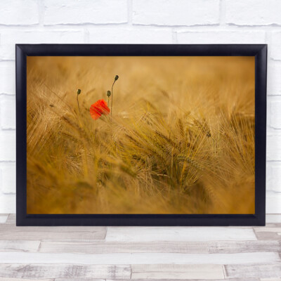 Vergängliches Blumenfeld Frankreich Mohn Weizen rotes Gras Pflanzen Wandbild Kunstdruck
