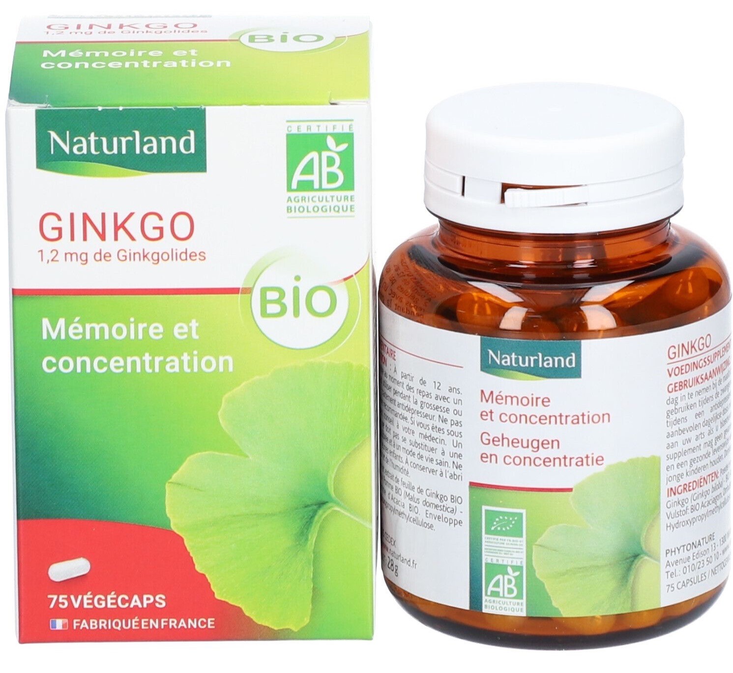 Ginkgo mémoire concentration complément alimentaire gélules pour le tonus cérébral
