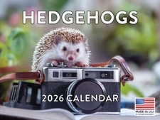 Hedgehog Calendar 2026 Monthly Wall Calender 12 Month Made In The USA