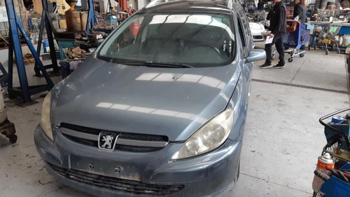 Cinghia Ausiliare per PEUGEOT 307 BREAK / SW (S1)(04.2002) SW Clim Plus 3826847 - Foto 3 di 10