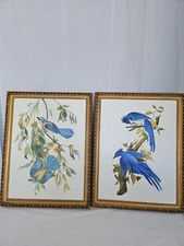 (2) Glen Haven Gallery Gold Framed Canvas Bird Art 13.5x17.5