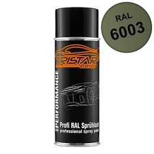 RAL 6003 Olivgrün Spraydose alle Glanzgrade Varianten