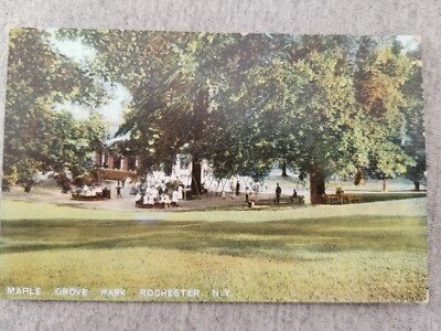 Rochester NY Maple Grove Park now Maplewood Park Antique Postcard UDB Unposted
