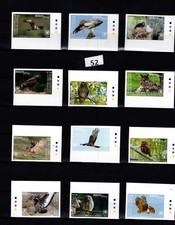 / RAROTONGA 2018 - MNH - IMPERF - NATURE - OISEAUX - HIBOUX - AIGLES - FAUNE 