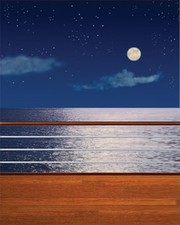 Pro 10'x20' Muslin 100 Airbrush Painted Photo Backdrop Background 41-004
