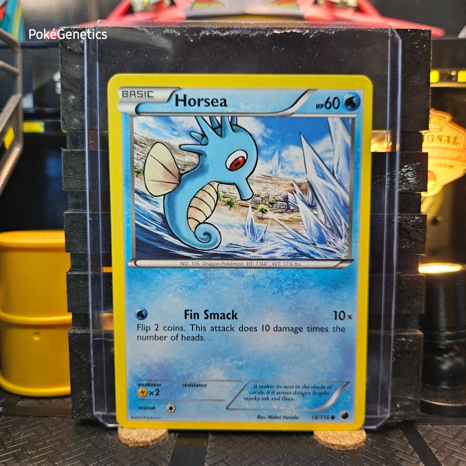 Horsea Plasma Freeze Pokémon TCG 18/116 Black & White 9 Common