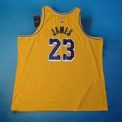 Lakers LeBron James 23番 ジャージ Los Angeles Lakers LeBron James #23 Association Authentic Jersey