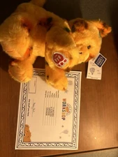 Build-A-Bear Vault Collection 2024 Pumpkin Kitty Stuffed 