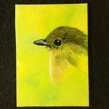 ACEO Original Acrylic Bird Painting Snowy-browed  Flycatcher Backyard Birds