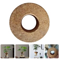 5 Pcs Propagating Vases for Plants Hydroponic Planter Lids Glass Flower Pot