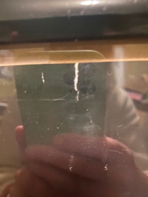 Bild 4 von 4
