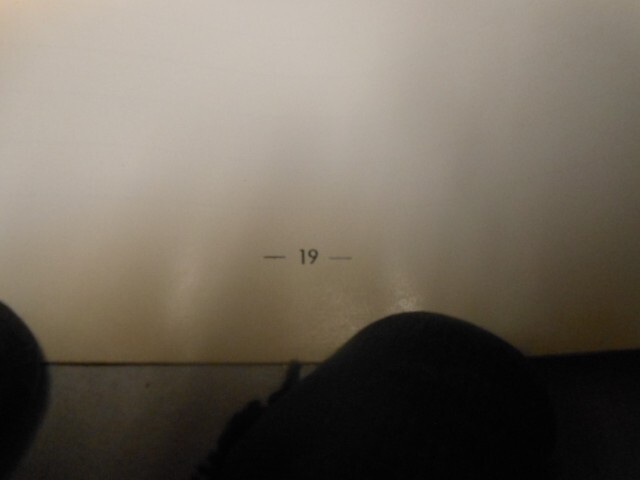 Picture 6 of 6