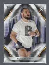 2019 Topps WWE Undisputed Wrestling Base & Portrait Singles (Pick Your Cards)