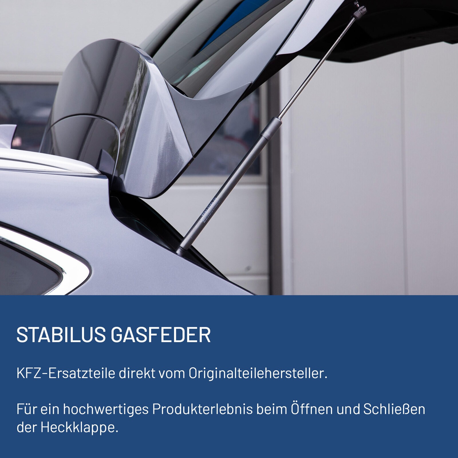 Bild 3 von 7