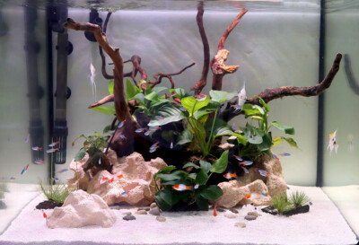 OCEAN FREE OF 3DM BACTO-ROCK