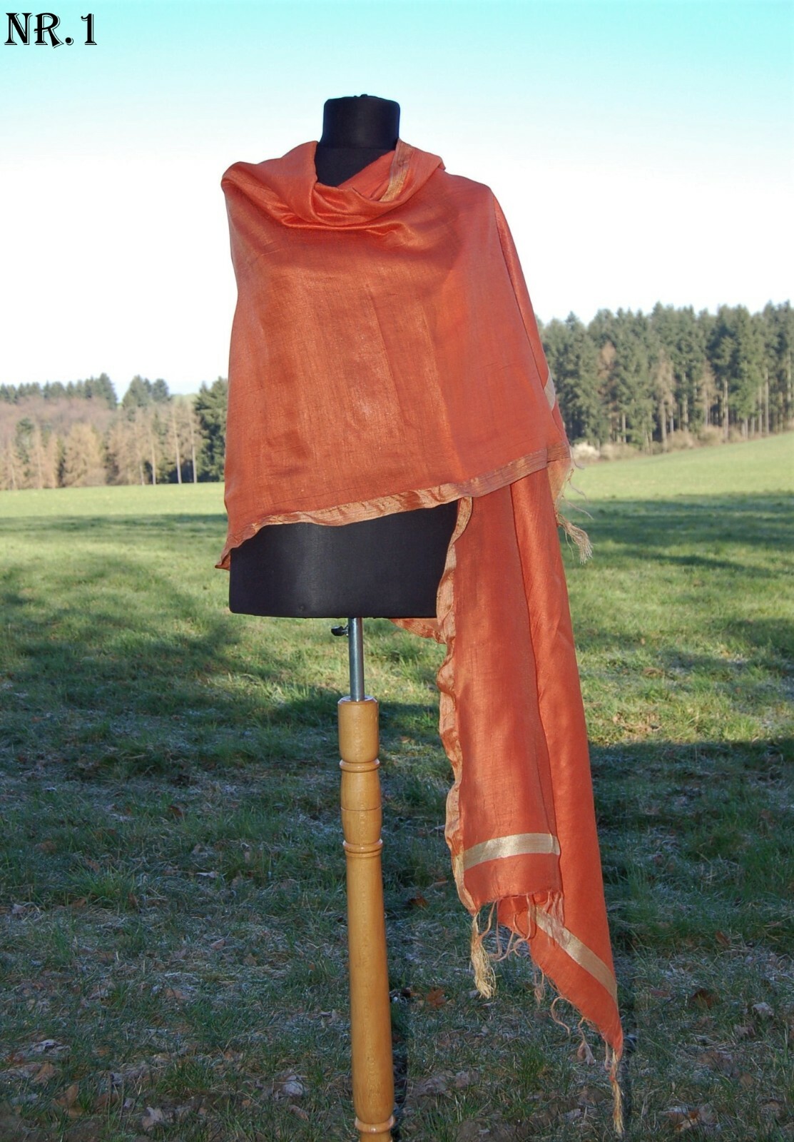 Bild 1 von 36
