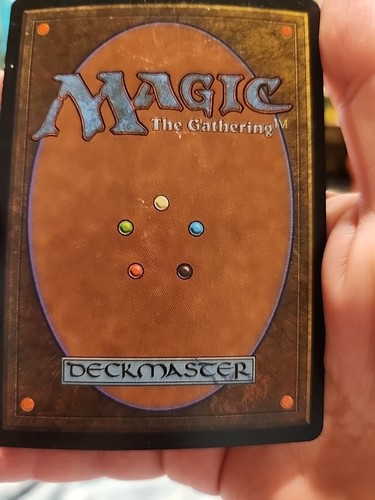 MTG Yavimaya Coast Apocalypse 143/143 Regular Rare - Picture 2 of 2