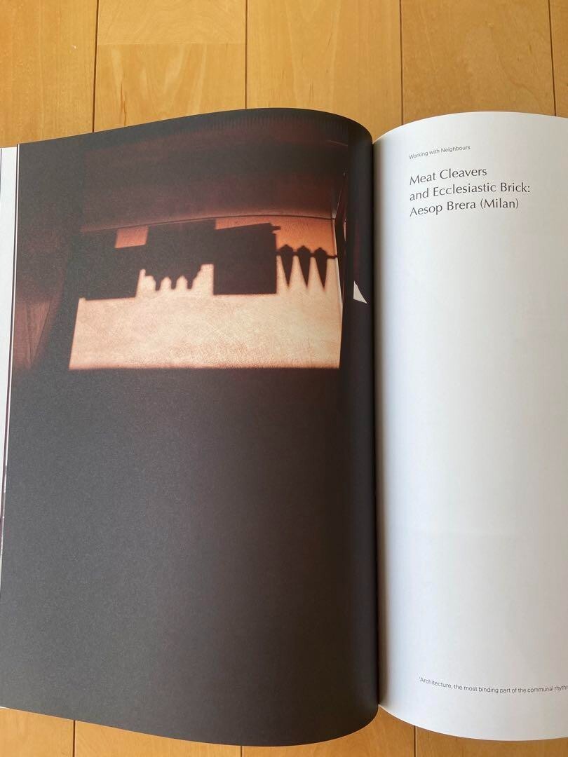Aesop the book Hard Cover Rizzoli Jennifer Down Dennis Aesop the book Hard Cover Rizzoli Jennifer Down Dennis