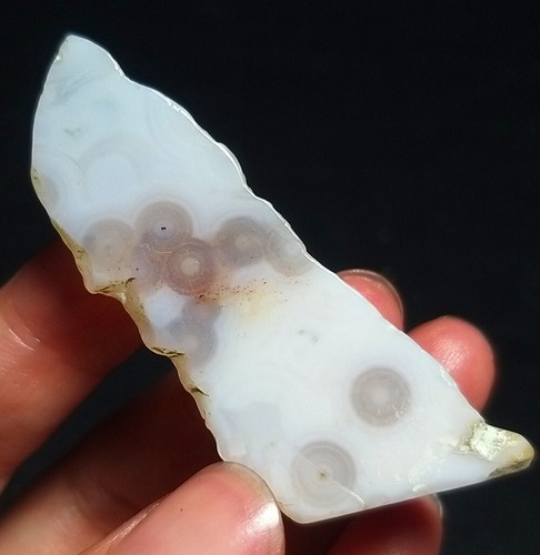 Rare 12G Natural Orbicular Ocean Jasper Rough Stone Healing Madagascar QT68 - Picture 3 of 12