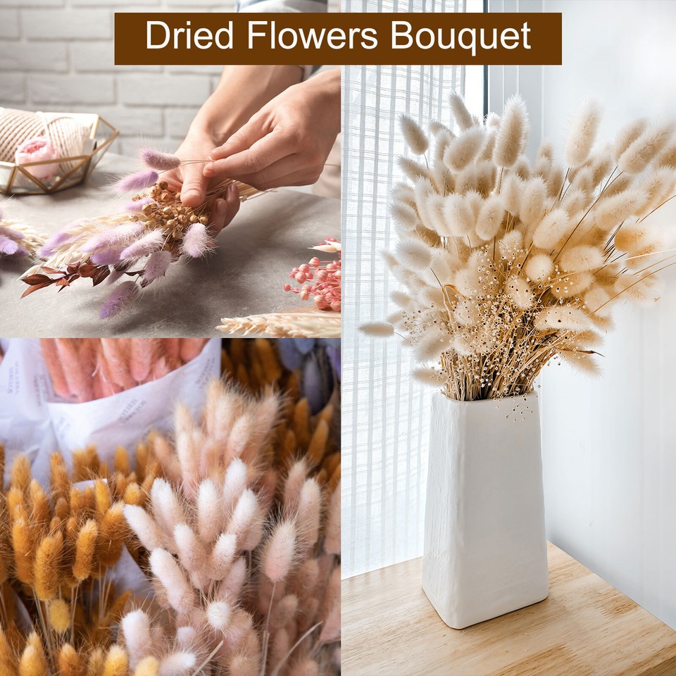 60pcs Natural Bunny Tails Dried Flowers 16" Mini Pampas Grass, Black eBay