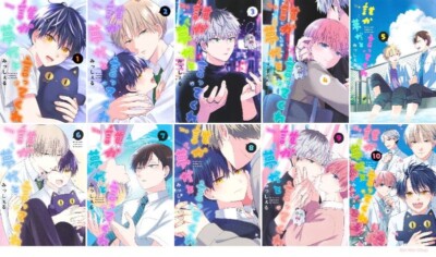 Japanese Manga BL Comic Book Dareka Yume Dato Ittekure 誰か夢だと言ってくれ vol.1-10 set