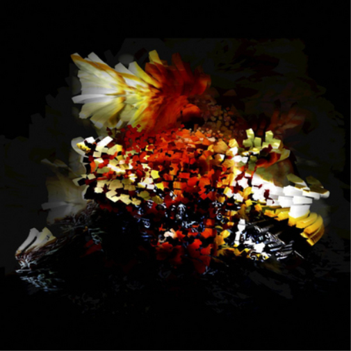 Bogus Order The Bullnose Step (Vinyl LP) 12" EP