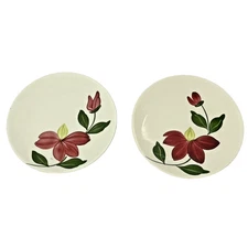 2 Blue Ridge Southern Pottery Floral Bread Plate Hand Painted Flower Winnie Vtg