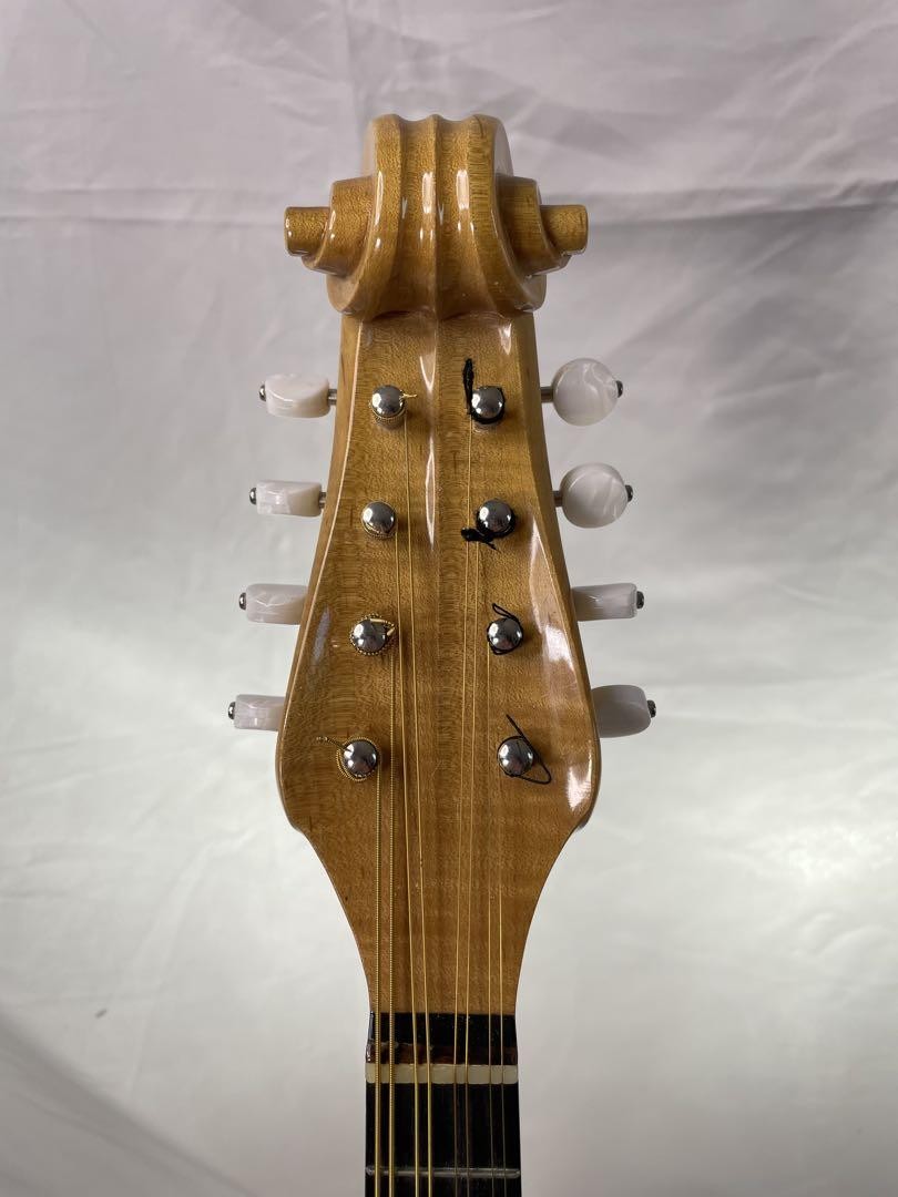 Sound Ena M-200 Top Model Mandolin | eBay