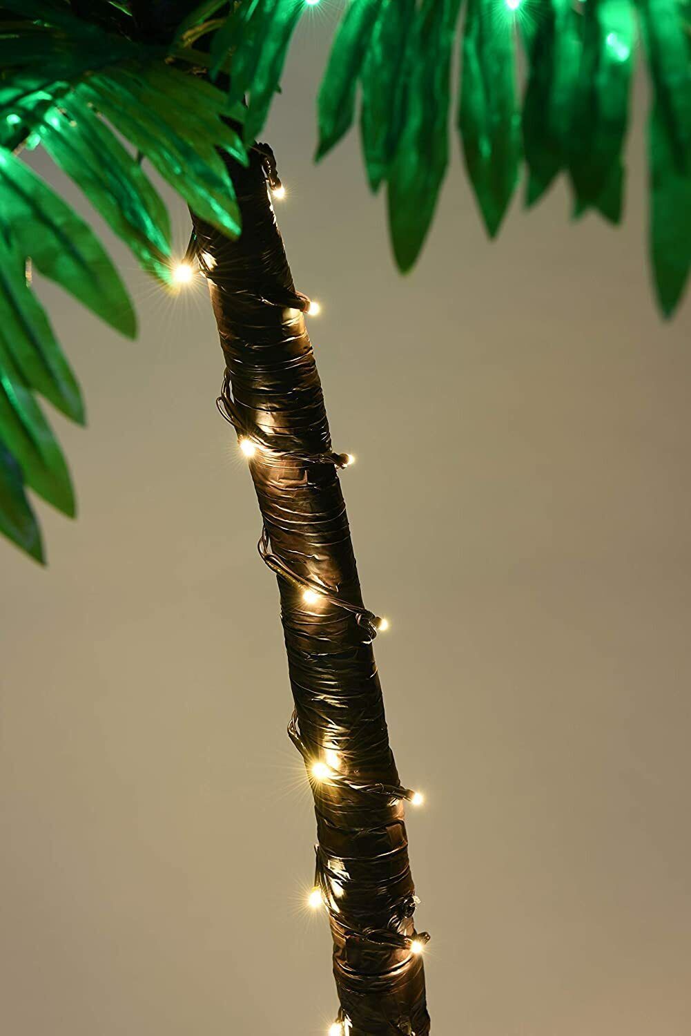 Picture 5 of 6
