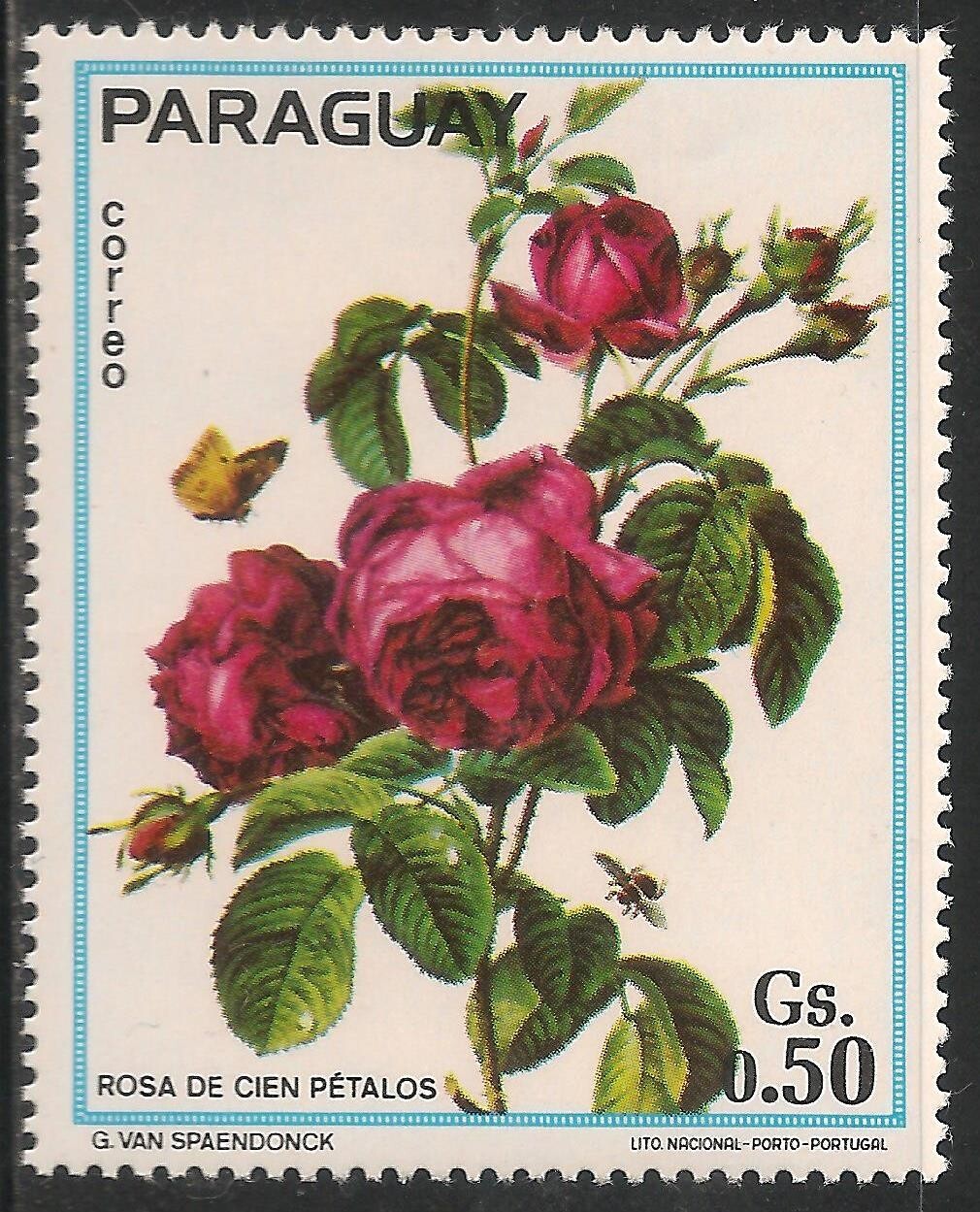Foto 1 di 1
