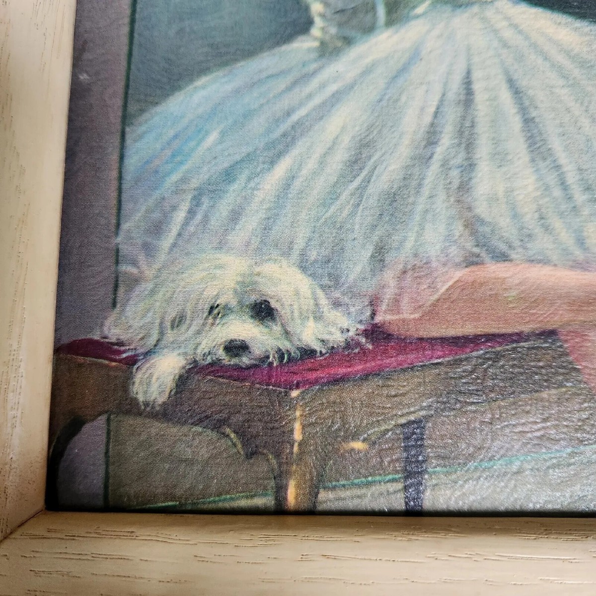 SOF BALLET PHOTOGRAPH サイン入りカード付き Vintage August Albo Ballerina in Mirror with Dog 50s Print Wood