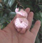 Bild 8 von 12