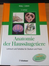 Anatomie der Haussäugetiere, König - Liebic...
