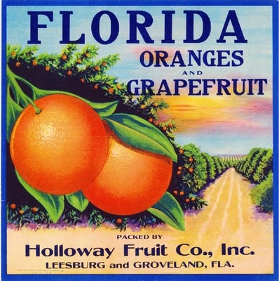 f40 Leesburg & Groveland Florida Oranges Orange Citrus Fruit Crate Fridge Magnet