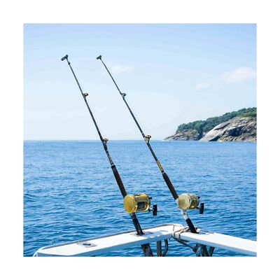 best kind of pole for deep sea fishing BETTER LEADER Bent But Rods Saltwater, Fishing with Swivel Tip Offshore and Big Game Fishing (50-80lb) : Sports & Outdoors piece design make it ideal for serious offshore anglers seeking durability and performance. Blackfin Offshore Elite OE6630C Conventional
