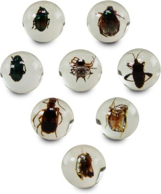 (Pack of 8) 25mm BUG Marbles Clear Beetle Spider Insect 1'' Shooter