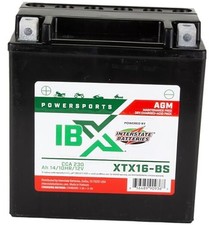 12V 14Ah Powersports Battery 230CCA AGM Rechargeable Replacement for YTX16-BS
