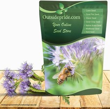 Outsidepride Lacy Phacelia Seeds for Planting - 1 Lb. Annual, Drought-Tolerant W 49.77 per gallon