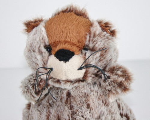 Webkinz GROUNDHOG Plush NO CODES Ganz HM179 GROUND HOG 8" Tall - Picture 2 of 6