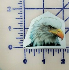 American Bald Eagle vinyl custom car truck time decal Realistic Reflective