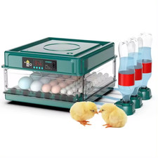 48 Egg Capacity Dual Power Supply Automatic Egg Incubator Egg Hatcher